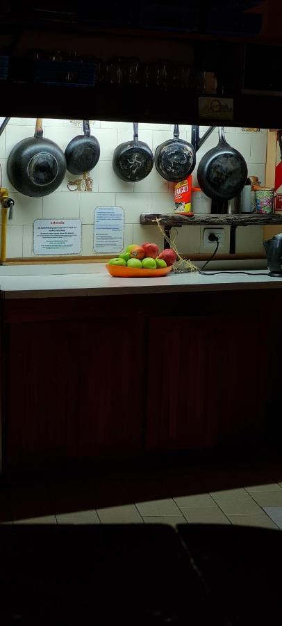 La Casa Del Arbol - Hostel אל בולסון מראה חיצוני תמונה