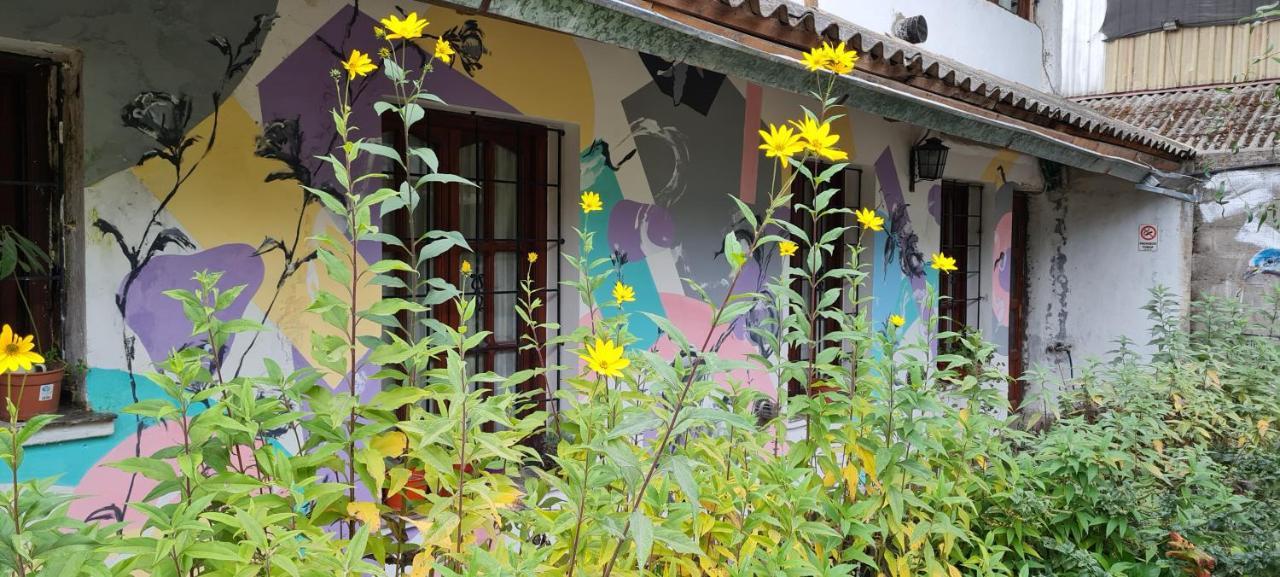 La Casa Del Arbol - Hostel אל בולסון מראה חיצוני תמונה