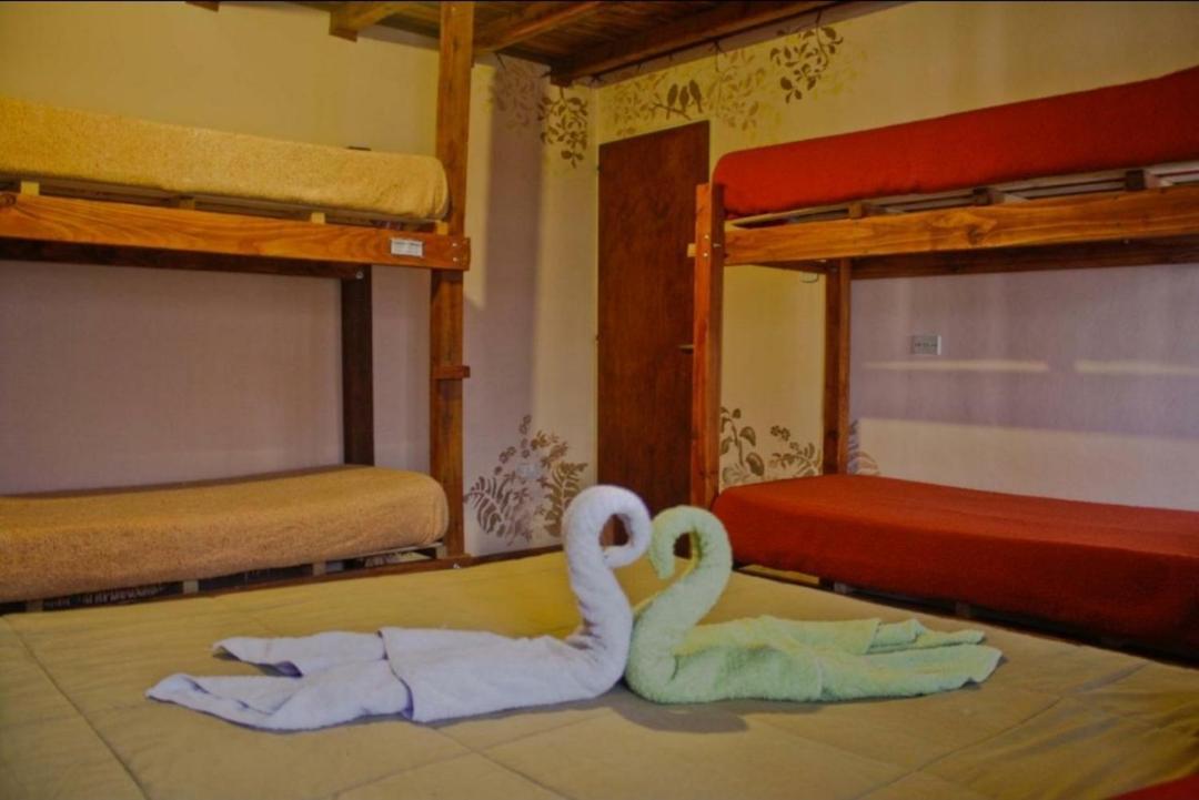 La Casa Del Arbol - Hostel אל בולסון מראה חיצוני תמונה