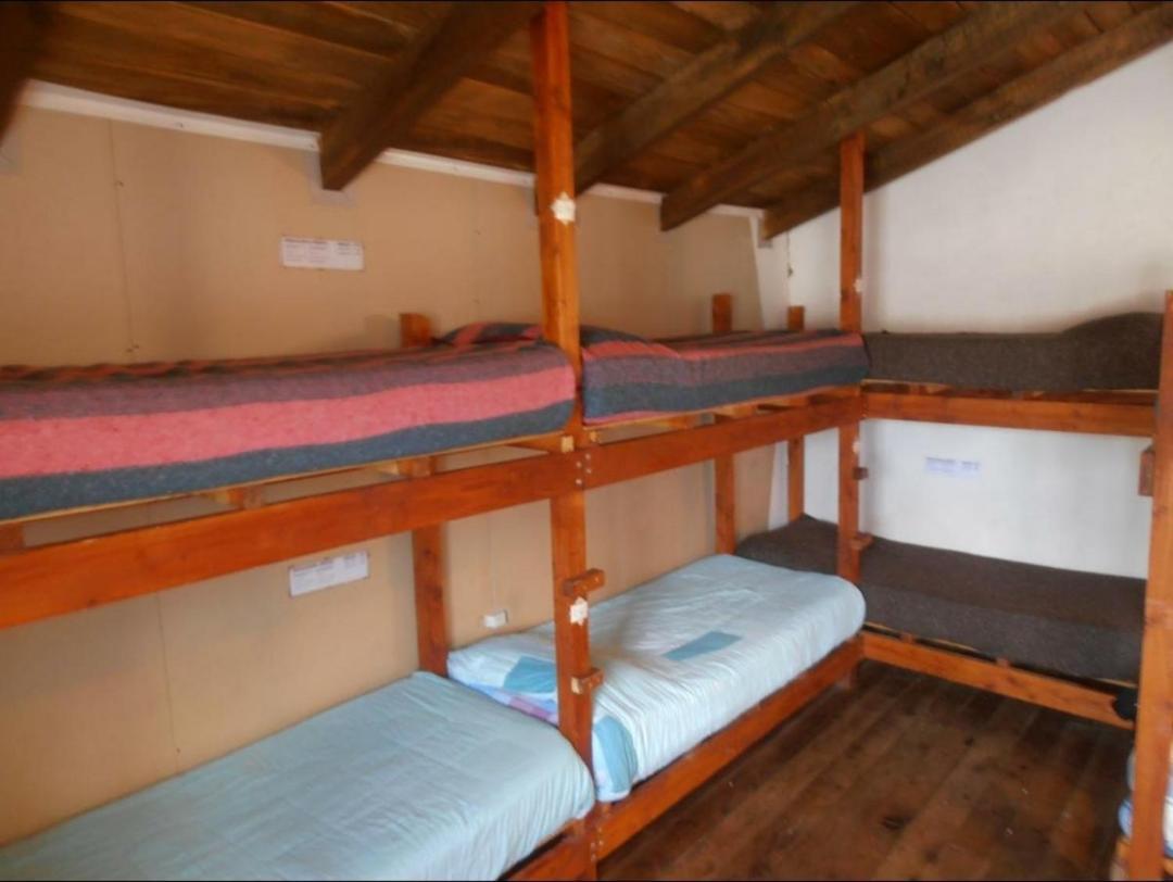 La Casa Del Arbol - Hostel אל בולסון מראה חיצוני תמונה